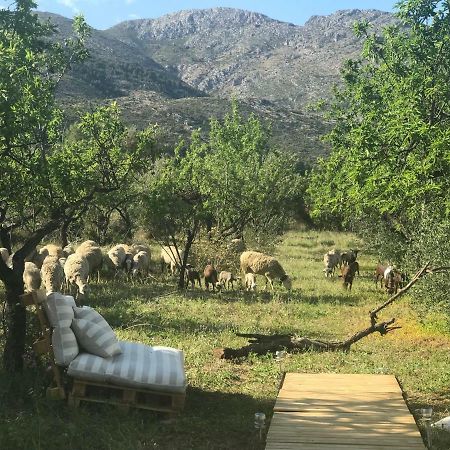 Casa La Plana Βίλα Orba Εξωτερικό φωτογραφία