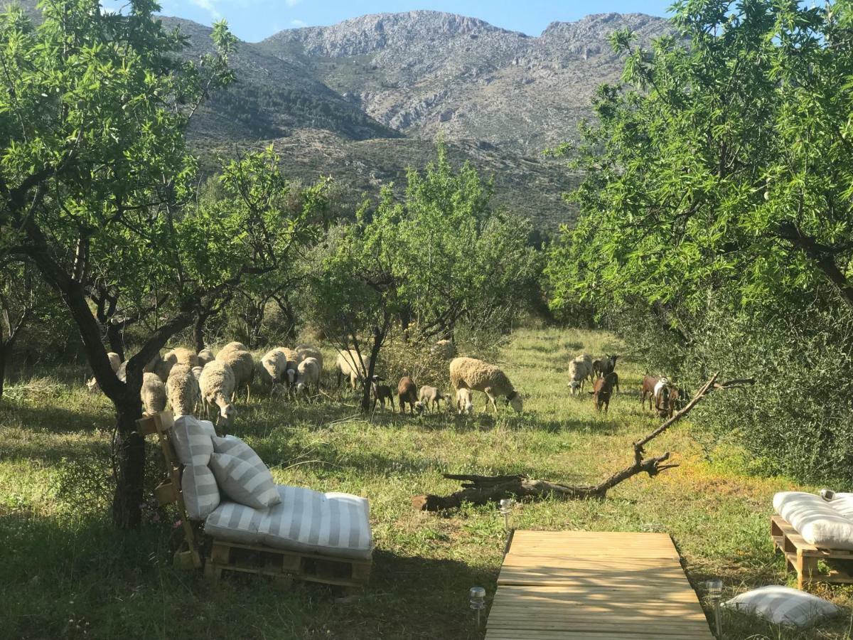 Casa La Plana Βίλα Orba Εξωτερικό φωτογραφία